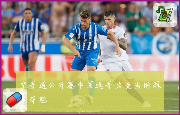 空手道公开赛中国选手力克当地冠军夺魁