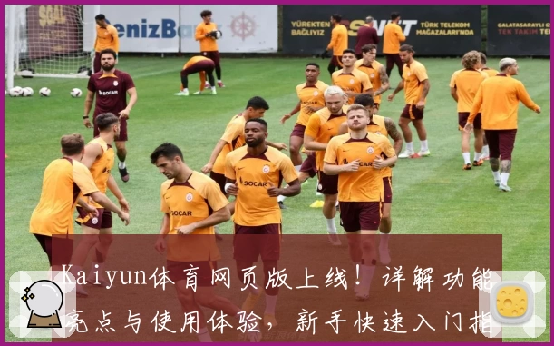 Kaiyun体育网页版上线！详解功能亮点与使用体验，新手快速入门指南